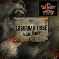 Suburban Tribe : Recollection
